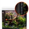 QZQ Aquarium Gravel Cleaner Manual Siphon Fish Tank-4