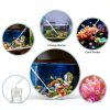Depeew Aquarium Feeder Cleaner L-Shaped Durable Acrylic-3