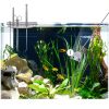 QYONLINE Aquarium Scraper Stainless Steel Extendable Handle-7