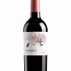Ribera del Duero Red Wine 750ml Authentic Spanish-0