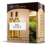 Wine Enthusiast Red Wine Bottle 14x10x10 inches-0