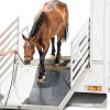 Heavy Duty Gym Flooring Mat Ackland 3/4" Rubber Stall Black 42x72-2