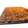Walnut Shell Doormat Timerala Premium Outdoor 43×74 cm Non‑Slip-4